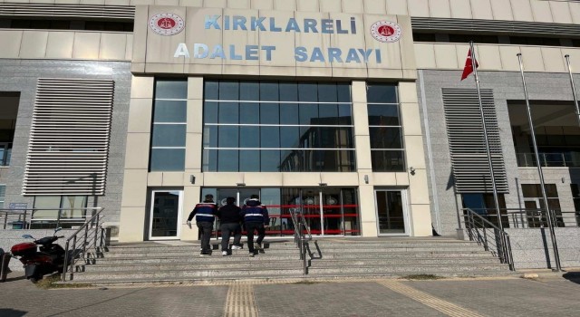 Kırklarelinde 2 PKK/KCK ve FETÖ/PDY terör örgütü üyesi yakalandı
