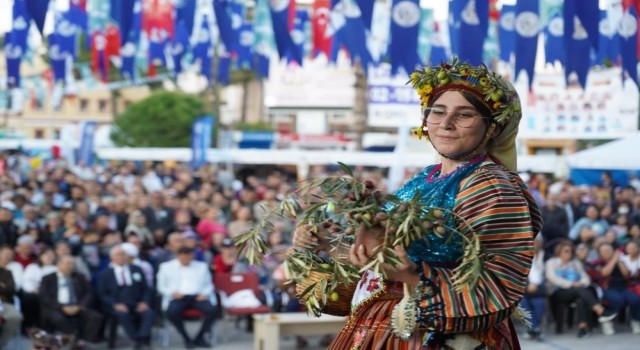 Milasta zeytin hasat şenliği için geri sayım başladı