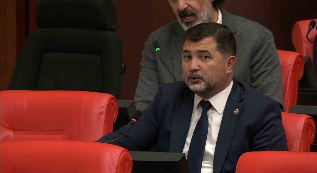 Milletvekili Öztürk, Düzce küllerinden doğdu