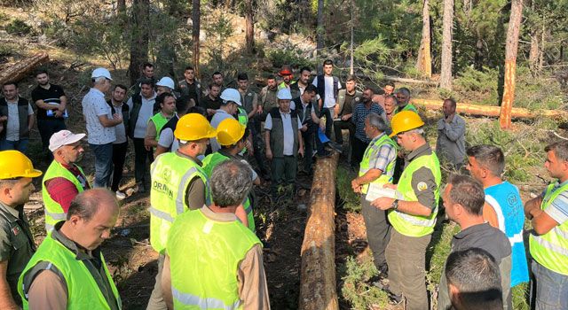 Orman İşletmelerinde İş Sağlığı Eğitimi Tamamlandı