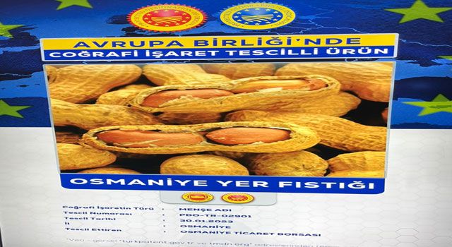 Osmaniye Ticaret Borsası’ndan Tepki: “Osmaniye Yer Fıstığı Adıyla Anılmalı”