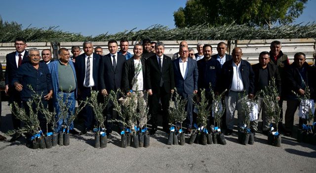 Osmaniye’de Çiftçilere 57 Bin 200 Zeytin Fidanı Dağıtıldı