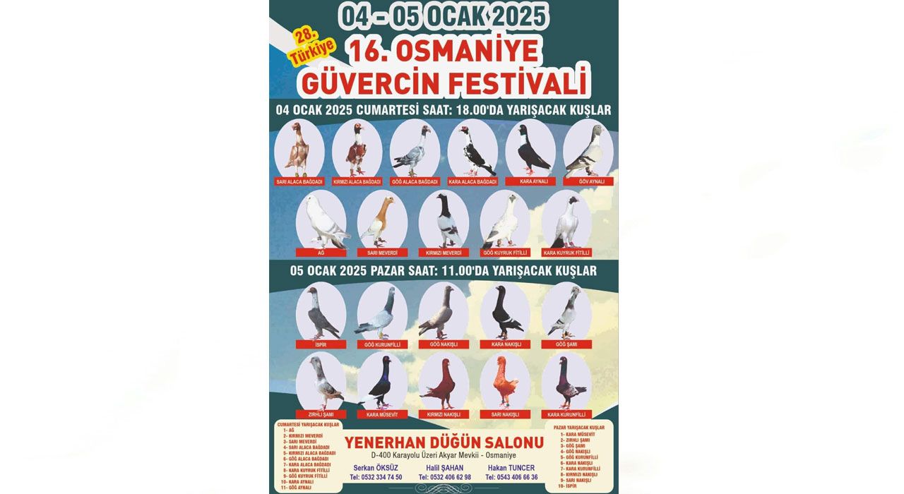 Osmaniye’de Güvercin Festivali Heyecanı Başlıyor
