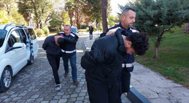 ‘Sahte kiralık ev ilanıyla 9 ilde 20 kişiyi 1 milyon lira dolandıran 2 kişi adliyede