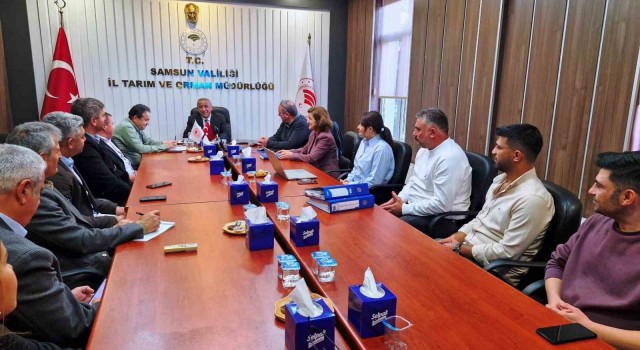 Samsunda Halk Elinde Anadolu Mandası Islahı Ülkesel Projesi