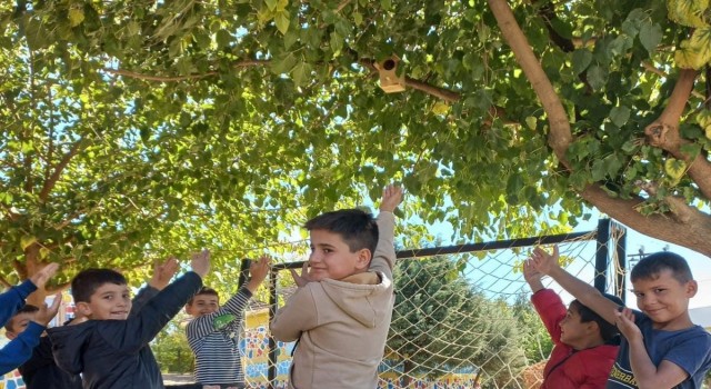 Silvanda kuş yuvaları ile ekosisteme katkı