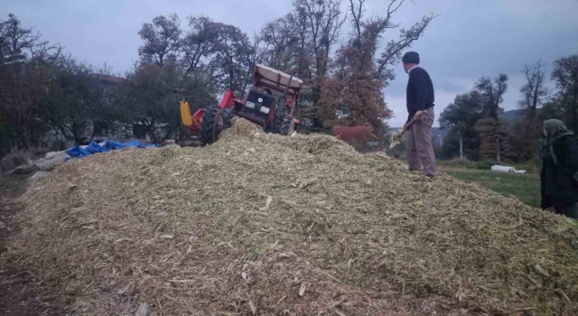 Sinopta silajlık mısır hasadı sona erdi