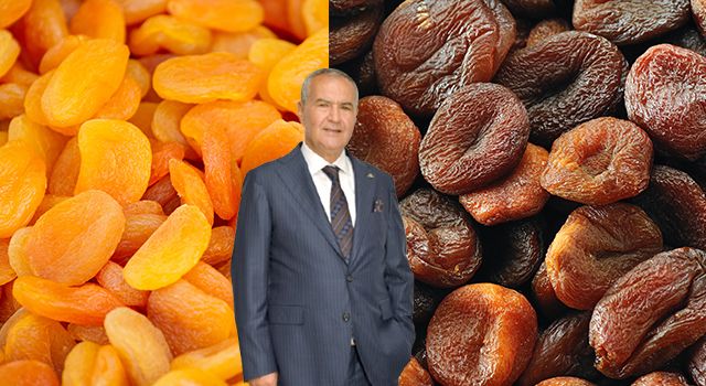 "Türk Kuru Kayısı İhracatında Yükseliş: İlk Çeyrekte %12 Artış Sağlandı"