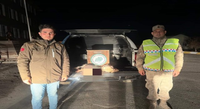 Vanda gece avcılığı yapan bir kişiye 15 bin 873 lira idari para cezası uygulanacak