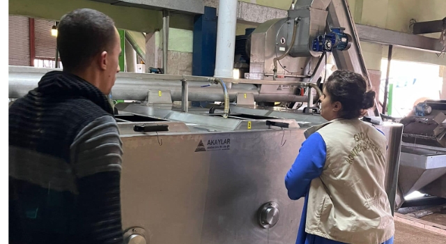 Zeytinyağı Üretiminde Kaliteyi Koruma Amacıyla Denetimler Artırıldı