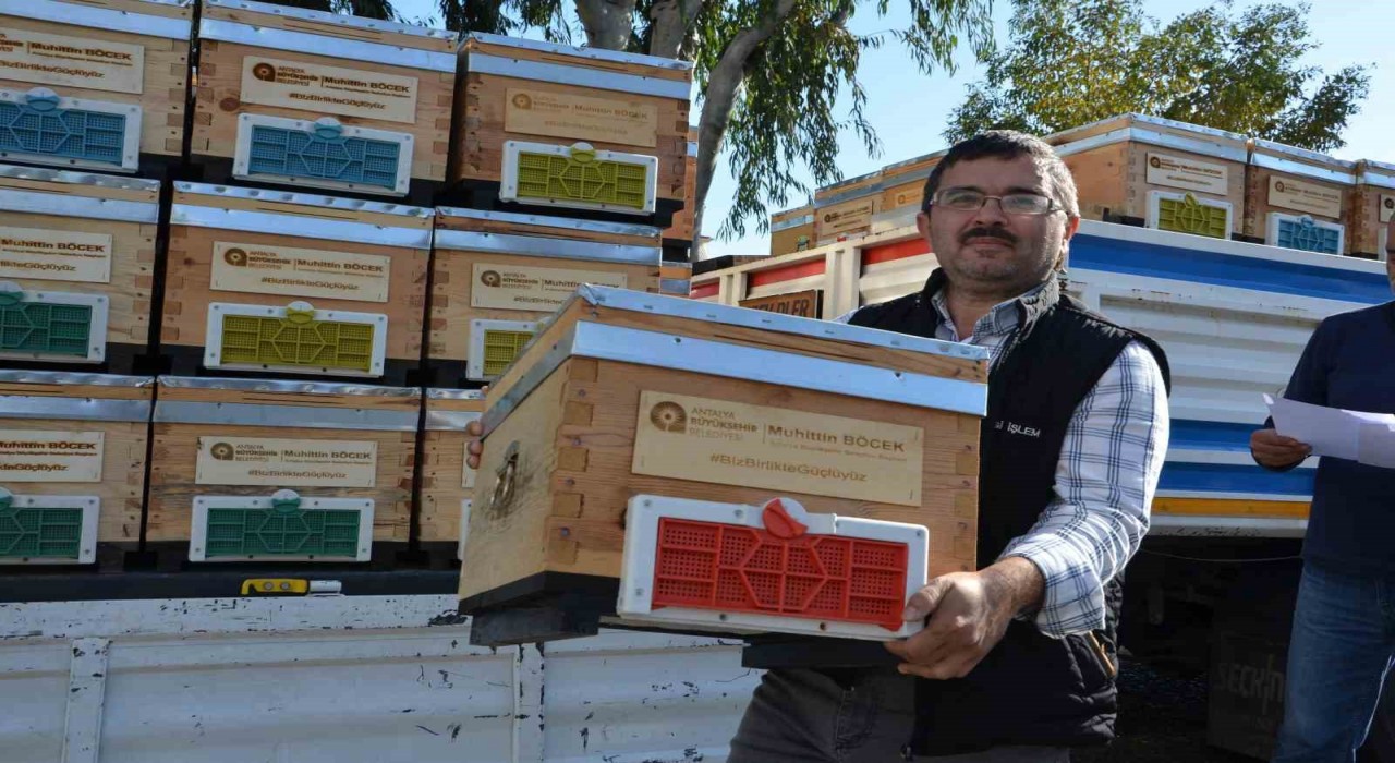 Alanyalı bal üreticilerine arı kovanı hibe edildi