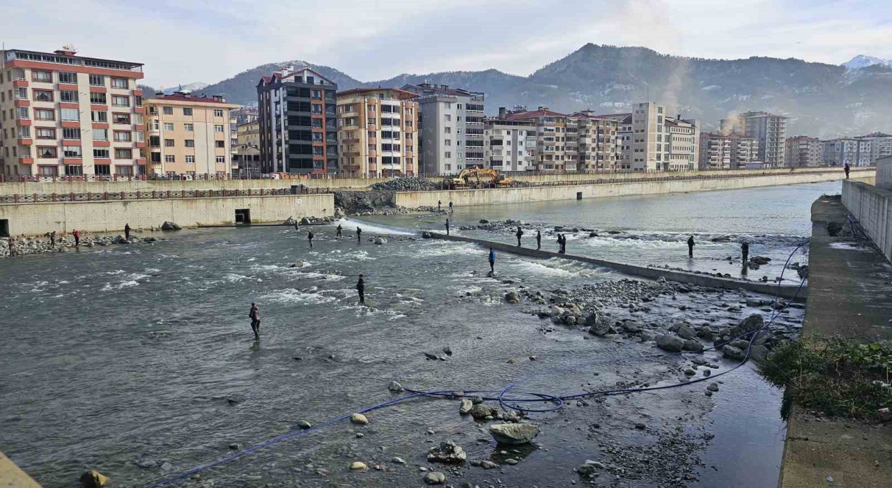 Artvinde fırtına somon kafesini parçaladı, vatandaşlar dereye akın etti