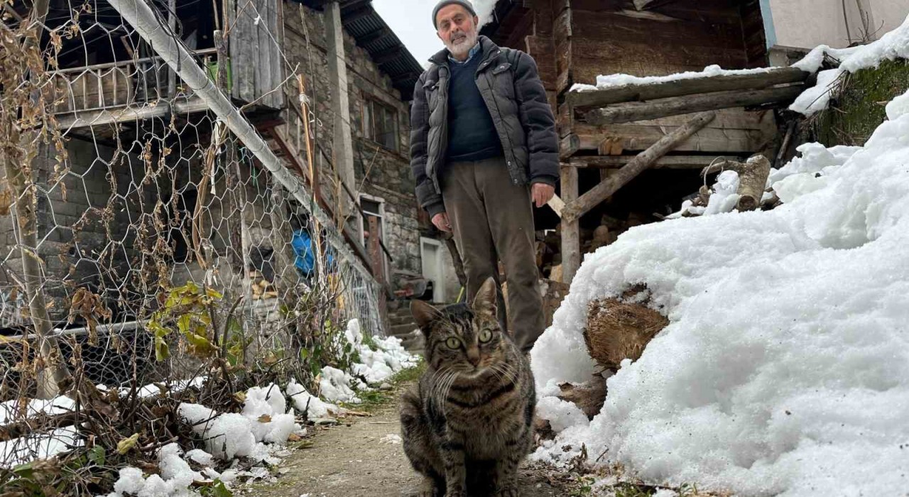 Artvinde mezrada mahsur kalan kedileri için karlı yolları aşarak yiyecek taşıyor