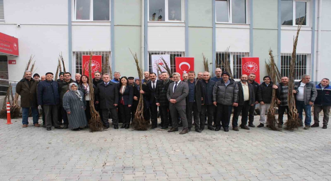 Bozüyükte çiftçilere meyve fidanı dağıtıldı