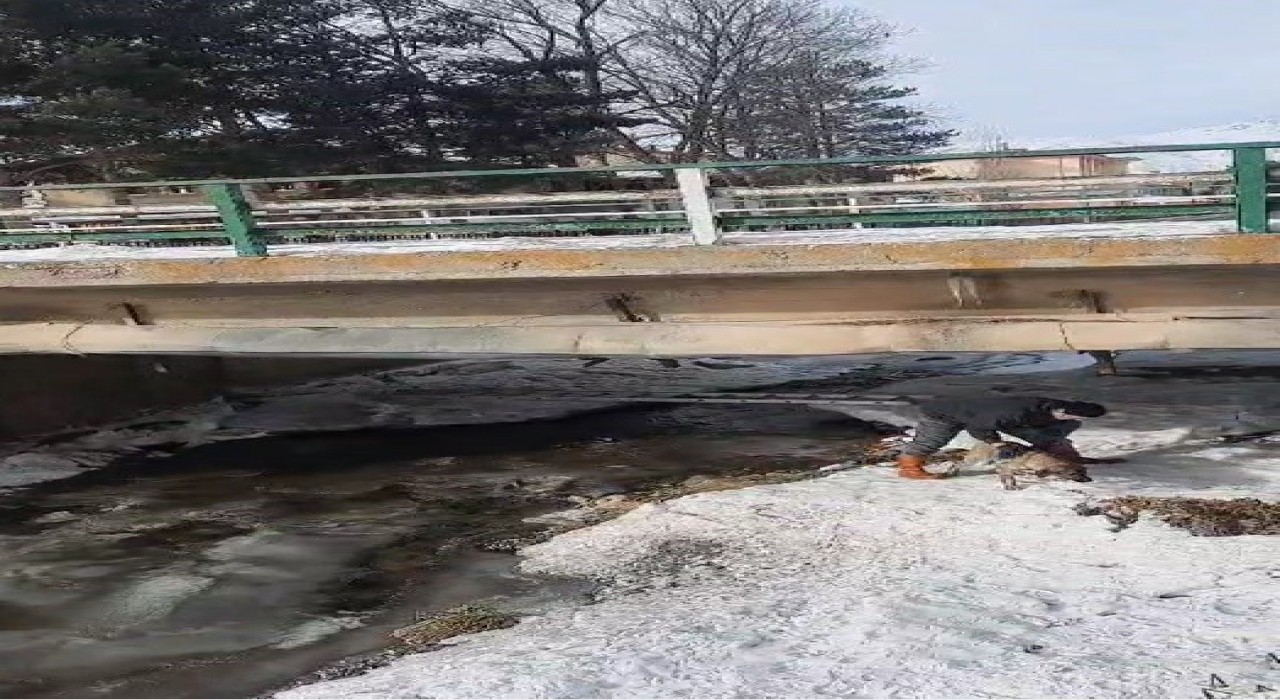 Buz tutan Çoruh Nehrinde baba ve çocuklarının yürekleri ısıtan köpek kurtarma operasyonu