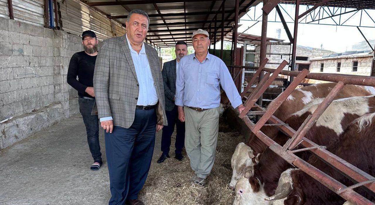 CHP’li Gürer, “Sütte Maliyetler Artıyor, Gelirler Azalıyor”