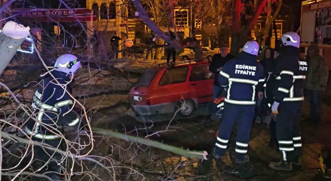 Çürüyen ağaç otomobilin üzerine devrildi