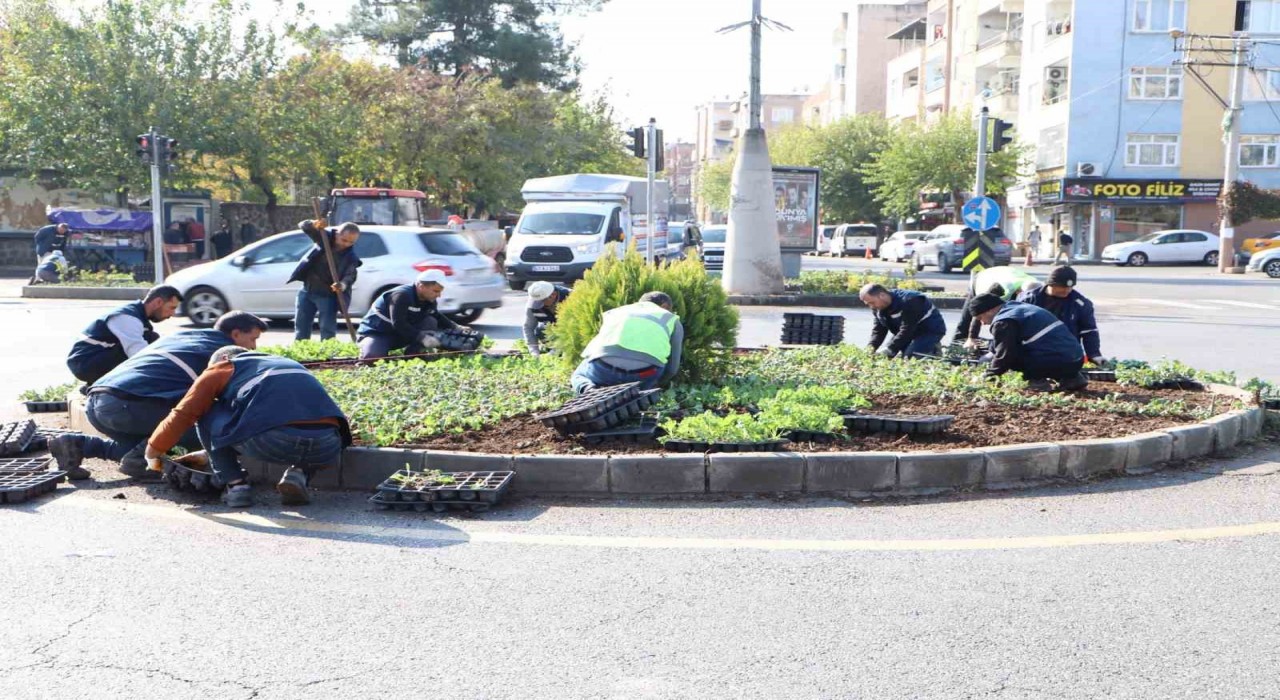 Diyarbakırda 1 milyon 152 bin bitki dikildi