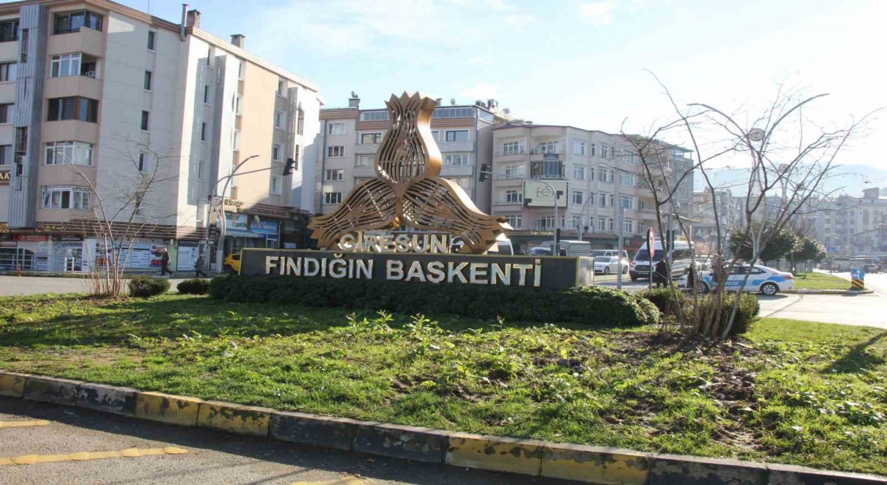 Giresunda kavşaklar fındık ağaçları ile süslenecek