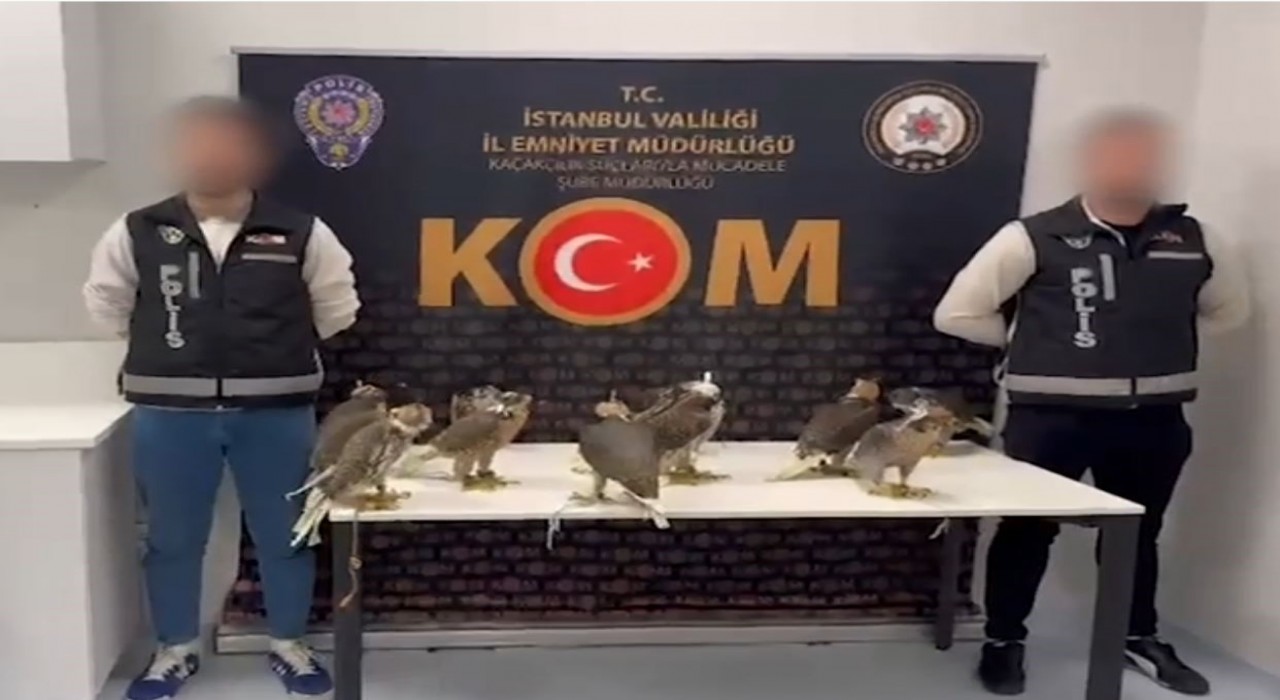 Gökdoğanları Libyaya kaçırmak isterken yakalandı