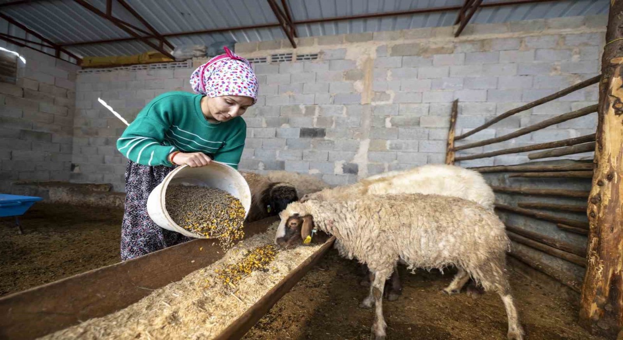 Hadi Gel Köyümüze Geri Dönelim projesi bir genci deha üretime kazandırdı