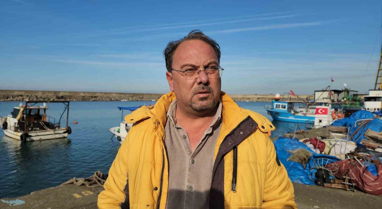 Hamsi Zonguldakta tezgahları şenlendiriyor