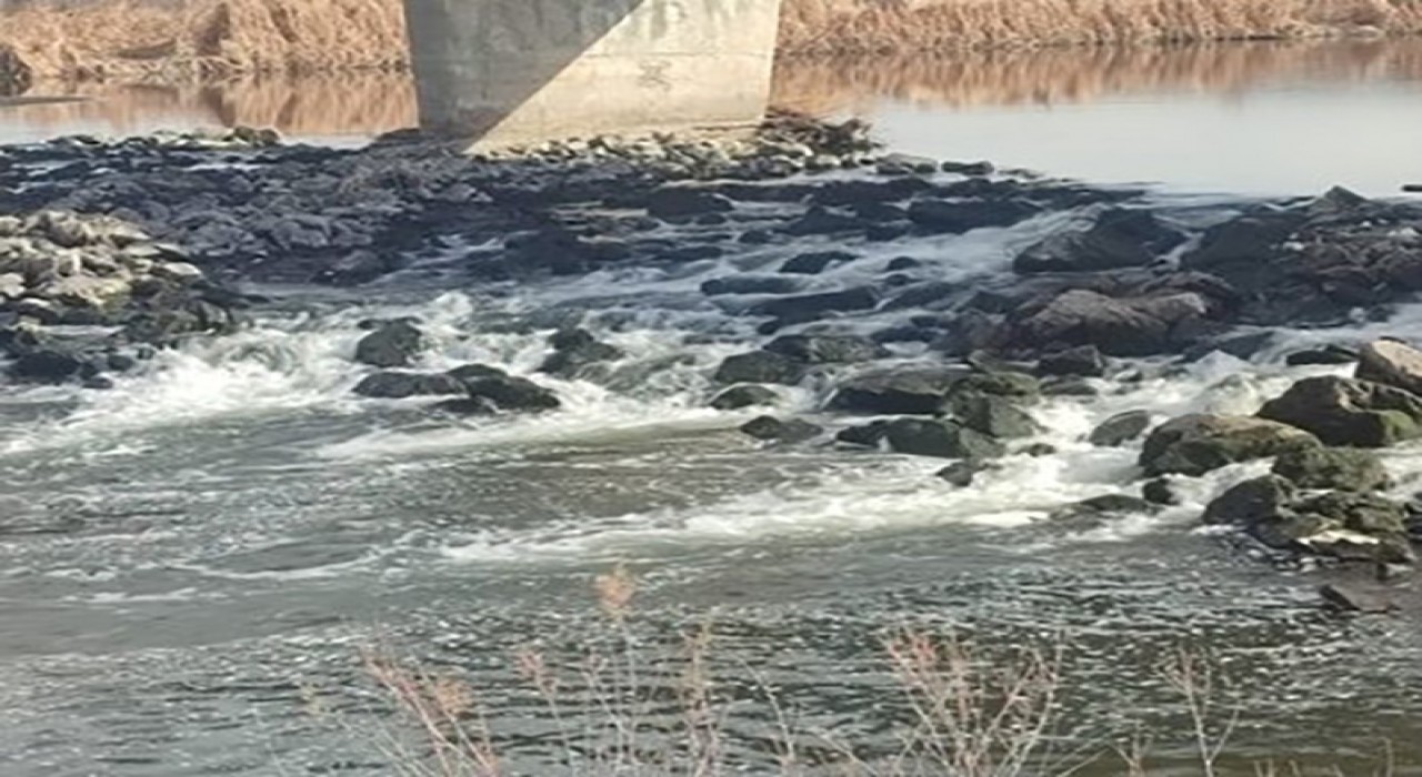 Kızılırmakta tedirgin eden ölümler