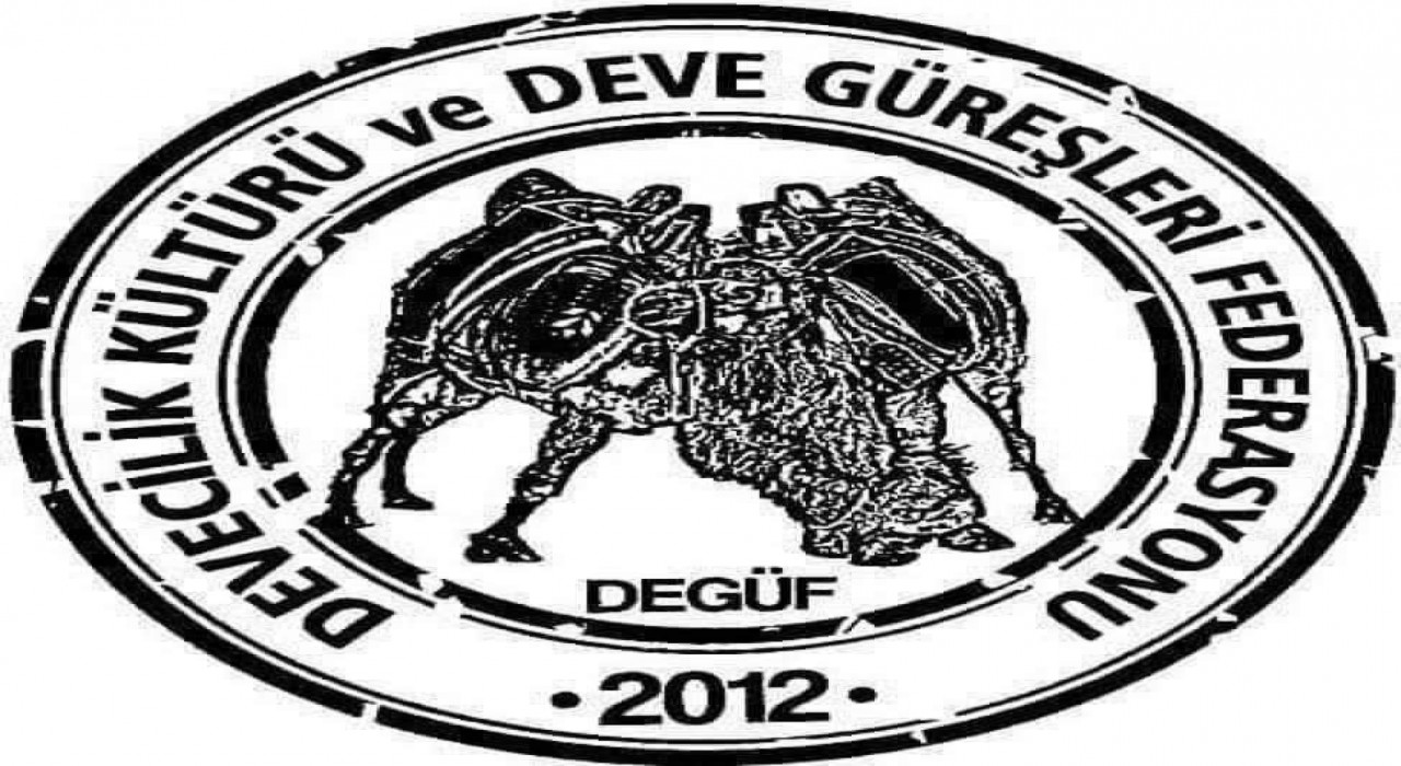 Köşkteki deve güreşleri iptal edildi