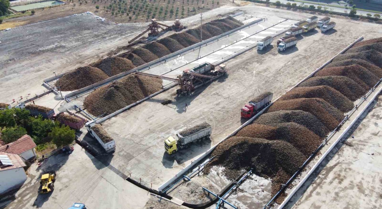 Malatya Şeker Fabrikasında 470 bin ton pancar işlendi