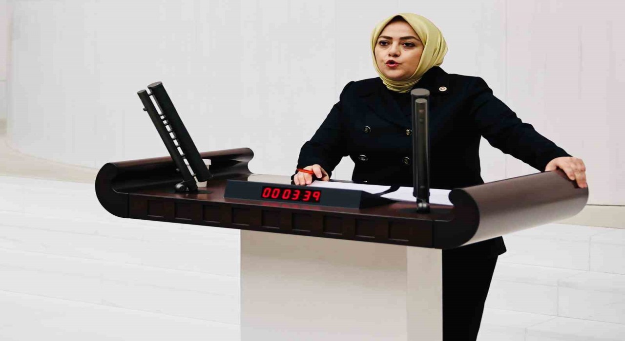 Milletvekili Ün, Pamukkale-Kocadere-Yeniköy projesini Meclis gündemine taşıdı