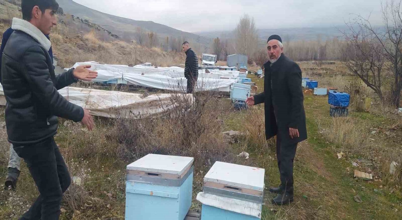 Muradiyede ayılar kovanlara ve kümes hayvanlarına saldırdı