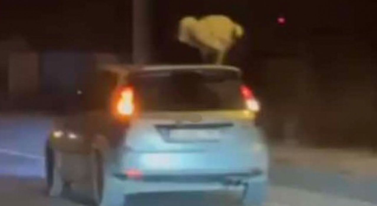 Osmaniye'de Trafikte Tehlikeli Dans