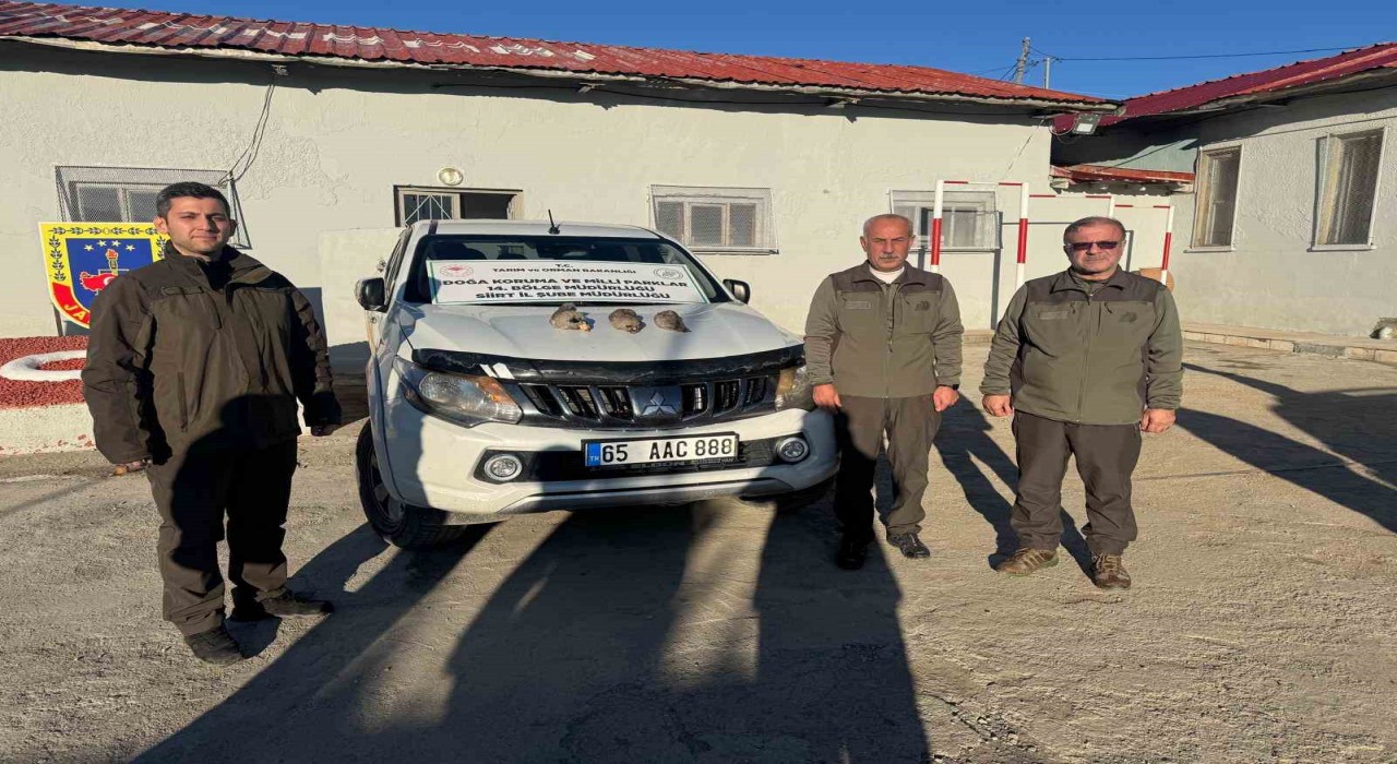 Siirtte kaçak avlanan 2 kişiye 24 bin 914 lira ceza verildi