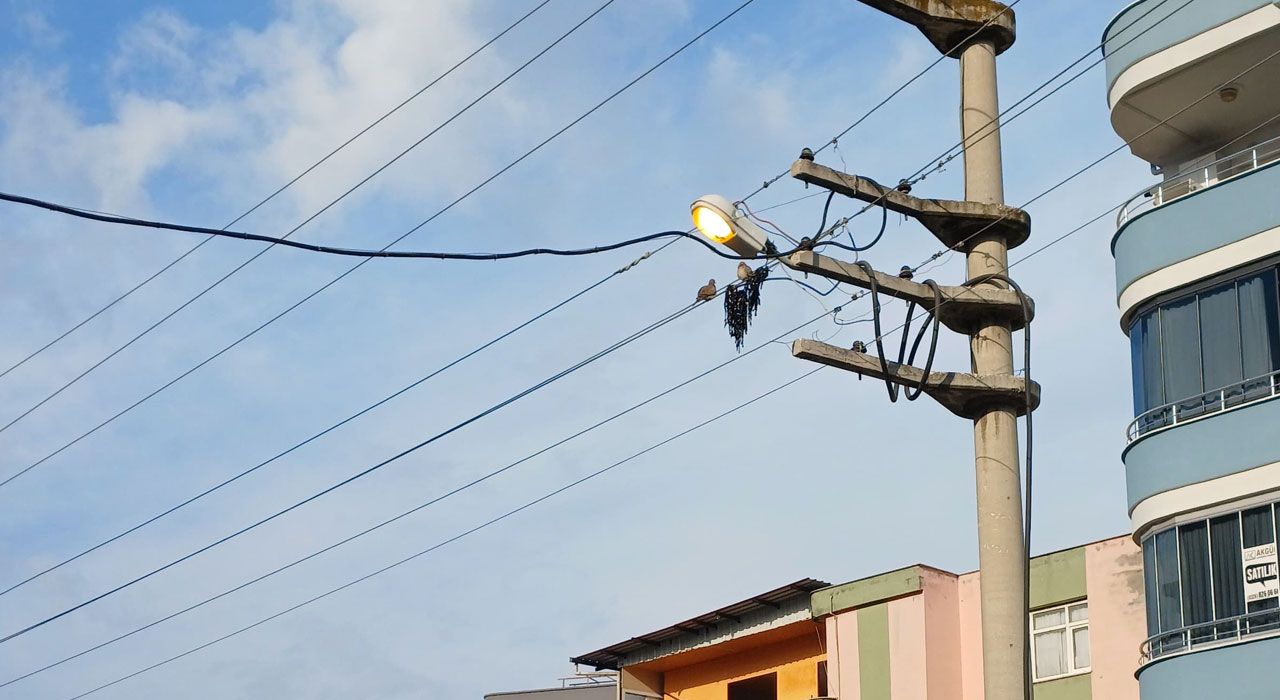 Sokak Lambalarının Gündüz Yanması Tepki Çekti: “Bu Nasıl Tasarruf!”
