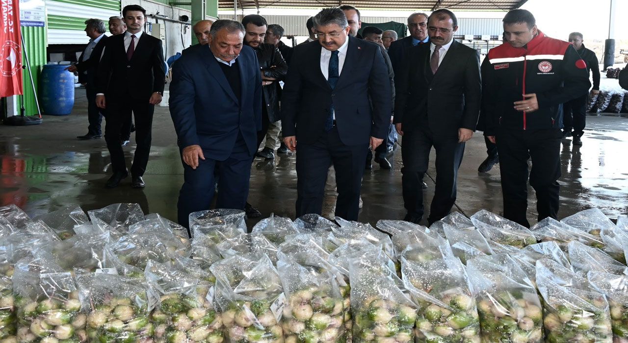 Vali Yılmaz, Turp Paketleme Tesisini Ziyaret Etti