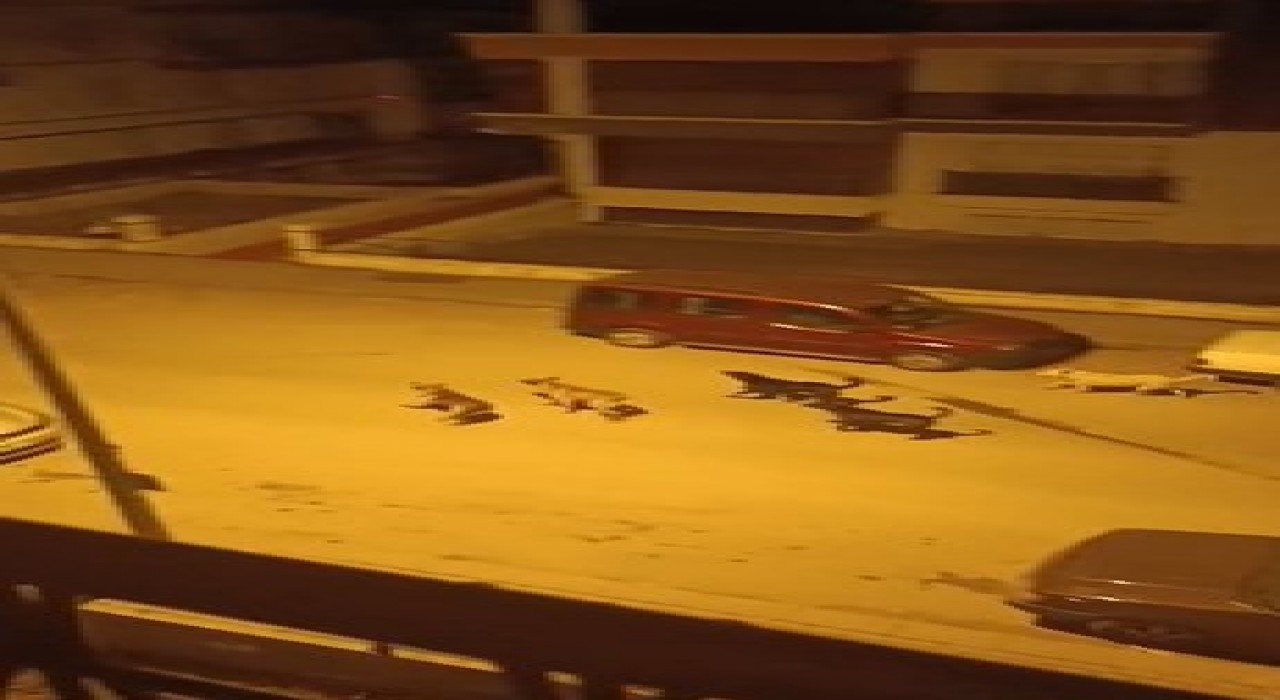 Ankarada mahalleli başıboş köpekler nedeniyle geceleri uyuyamıyor