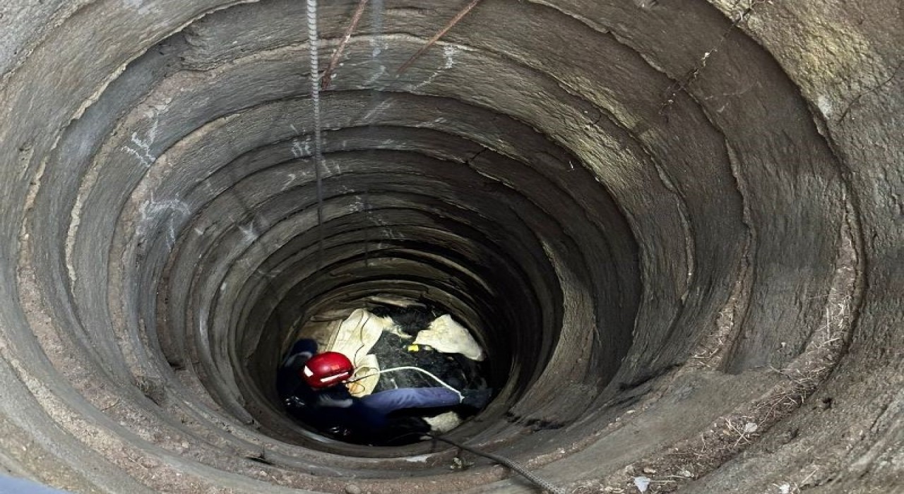 Balıkesirde kuyuya düşen büyükbaş hayvan vinçle kurtarıldı
