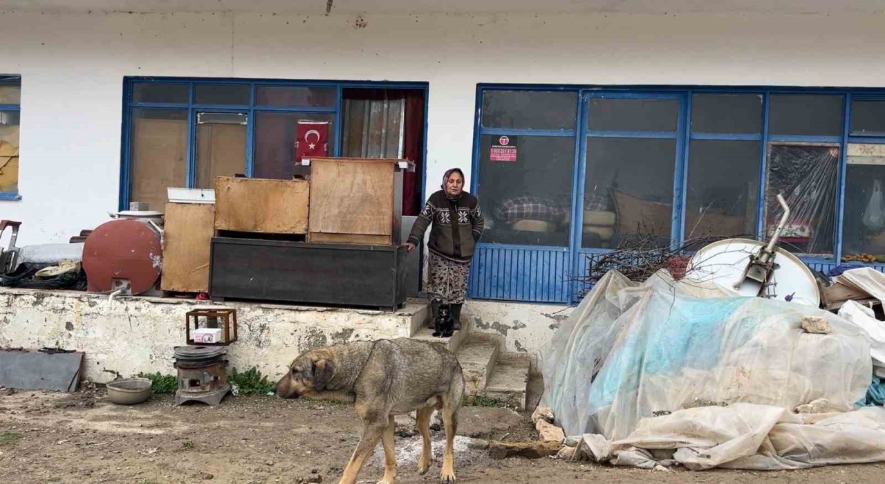 Çaresiz kadın: Belediyeye, kaymakama ve muhtarlığa gittim, huzurevine gitmemi teklif ettiler