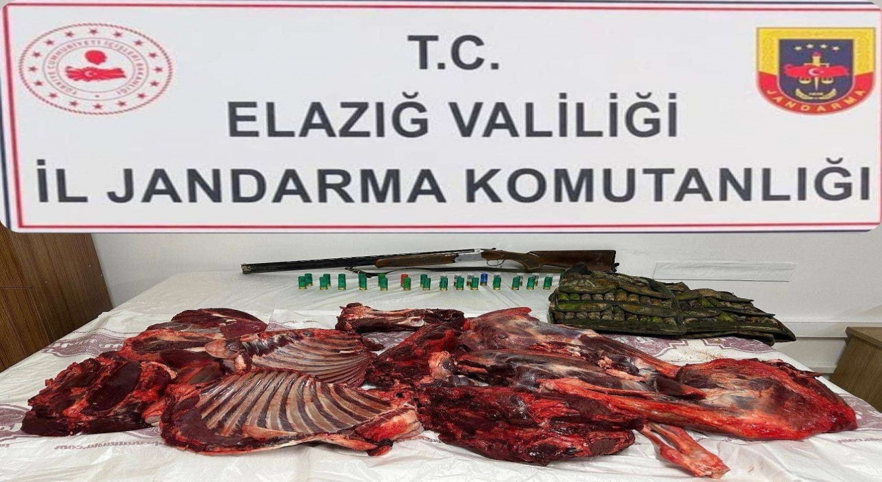 Elazığda dağ keçisini avlayan şahsa 650 bin lira ceza kesildi