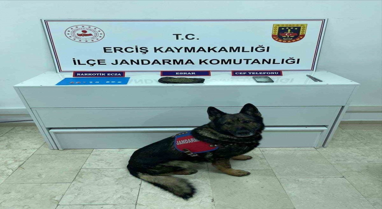 Ercişte uyuşturucu madde operasyonu