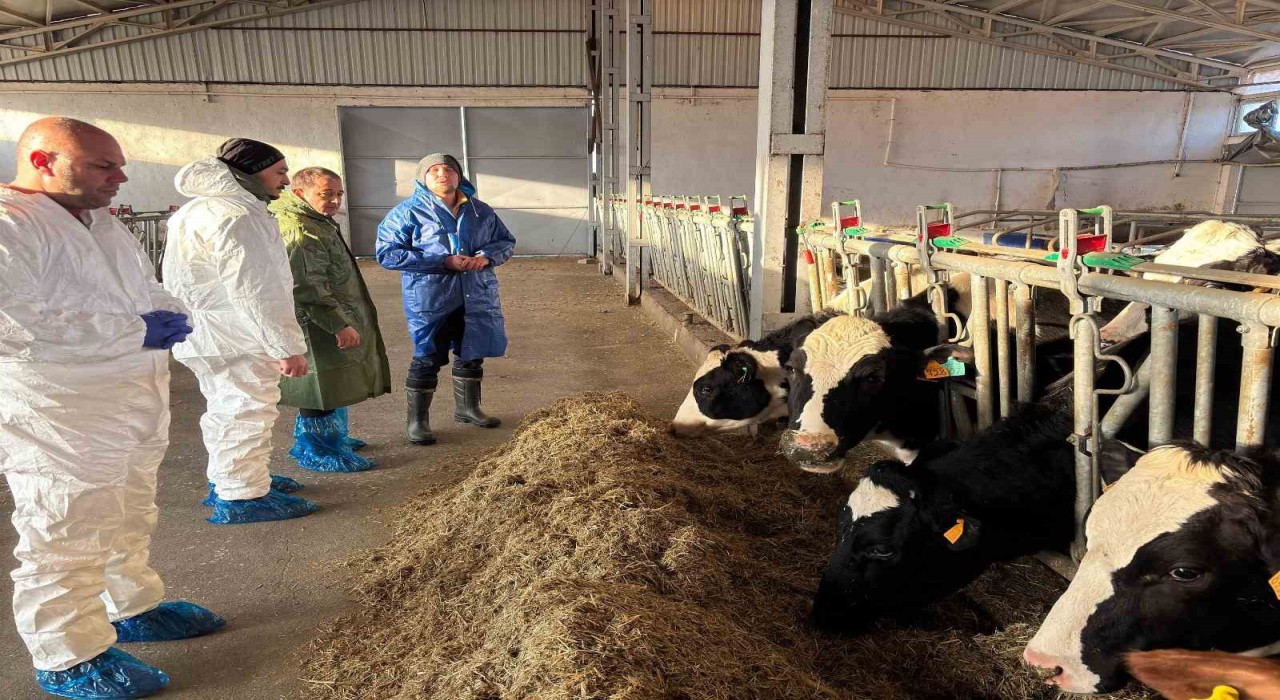 Erzincanda 3 işletme ari işletme olmak için başvuru yaptı