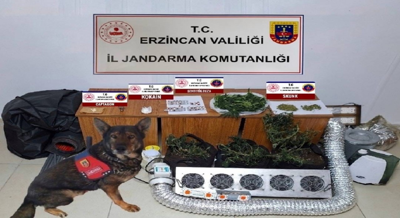 Erzincanda jandarma mıntıkasında 2024 yılında meydana gelen olayların yüzde 99u aydınlatıldı