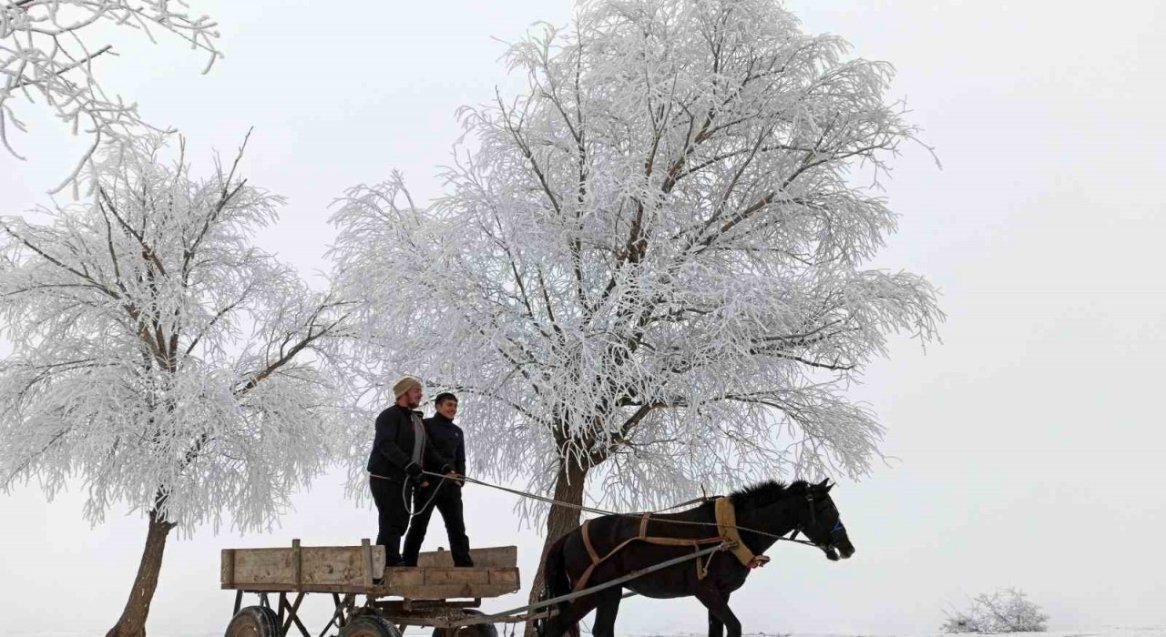 Erzincanın Otlukbeli ilçesi buz tuttu!