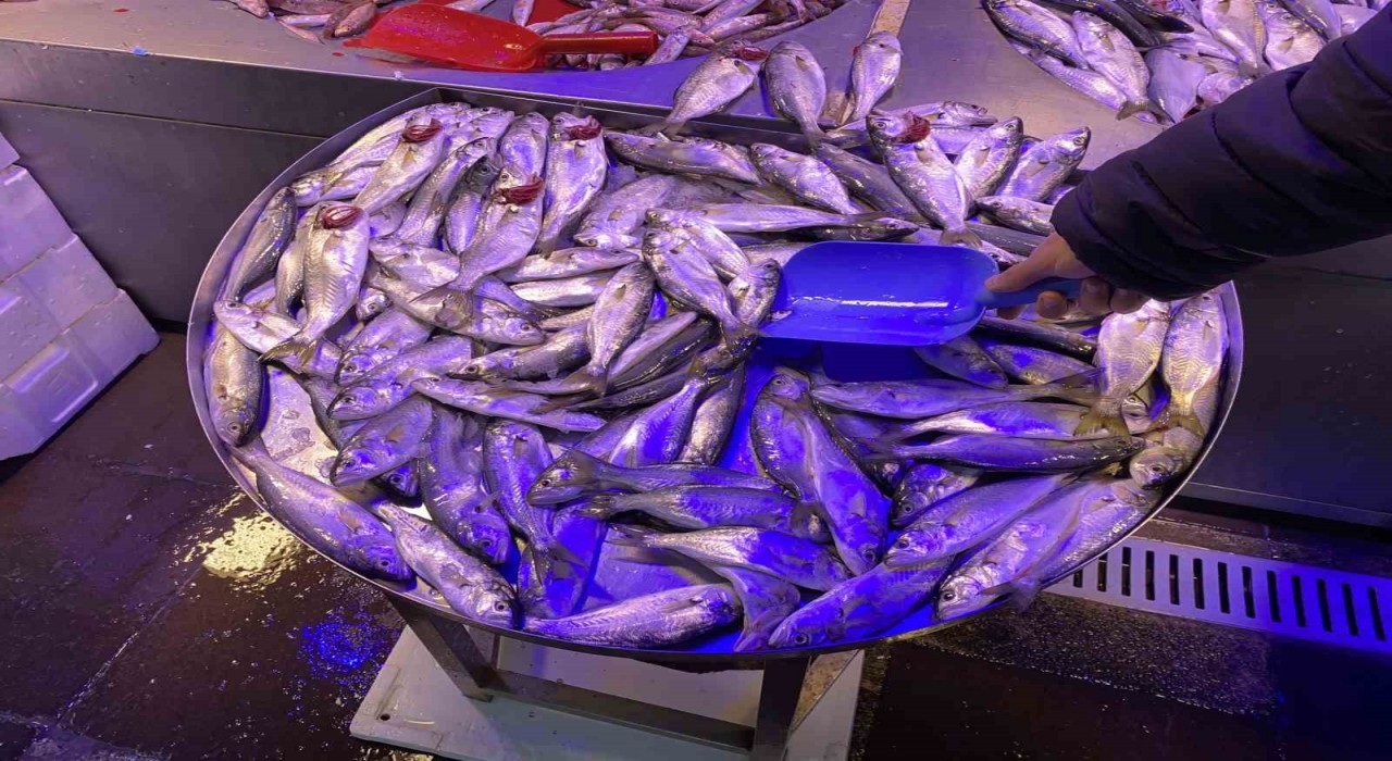 Eskişehir'de Fiyatı Düşen Çinekop'a Yoğun İlgi Gösteriliyor