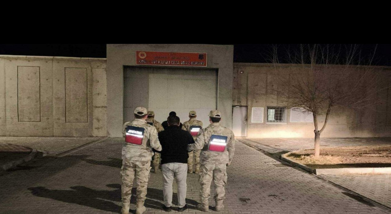 Iğdırda düzensiz göçmen yakalandı