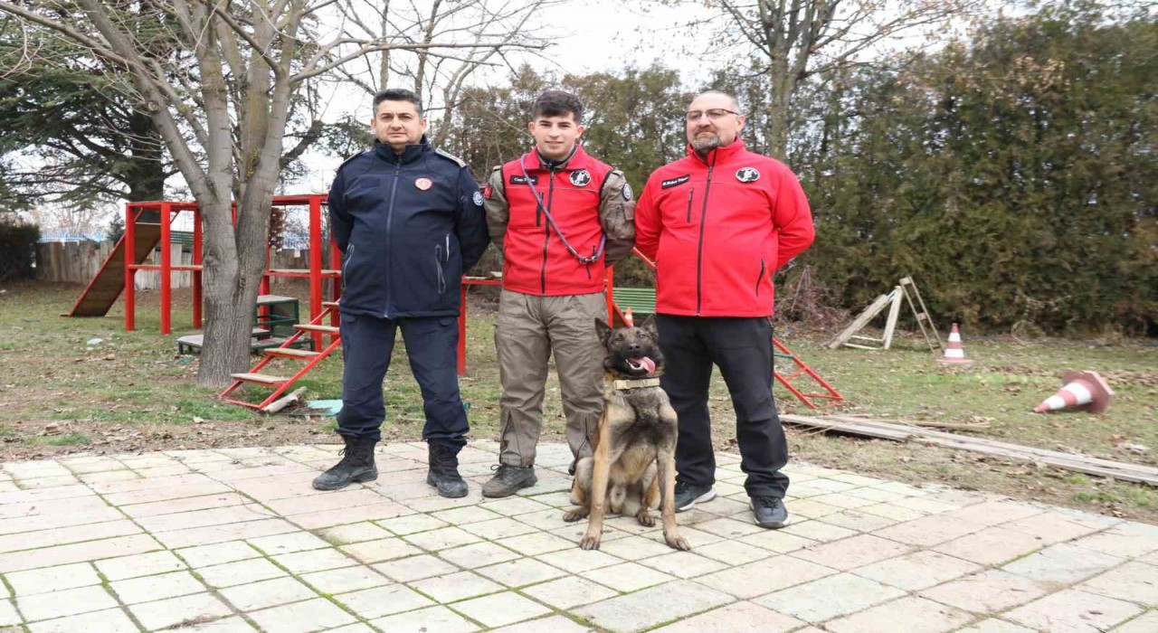 K-9 arama kurtarma köpeği Adam, Türkiyenin en genç eğitmeni ile afetlere hazırlanıyor