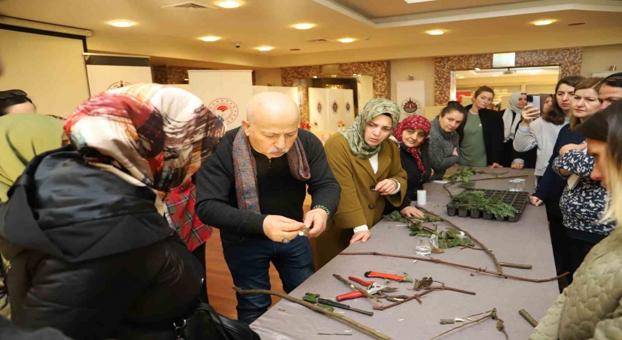 Kadın çiftçilere budaması anlatıldı
