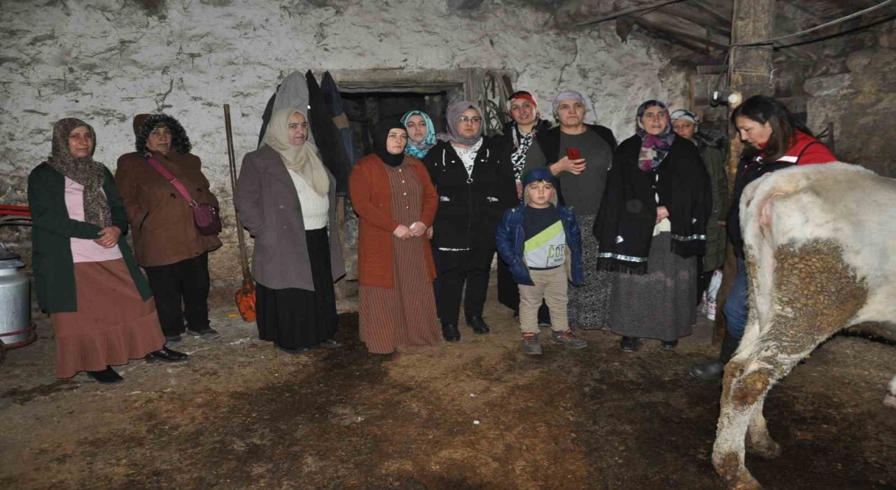 Karsta kadınlar sağlıklı sağım tekniklerini öğreniyor