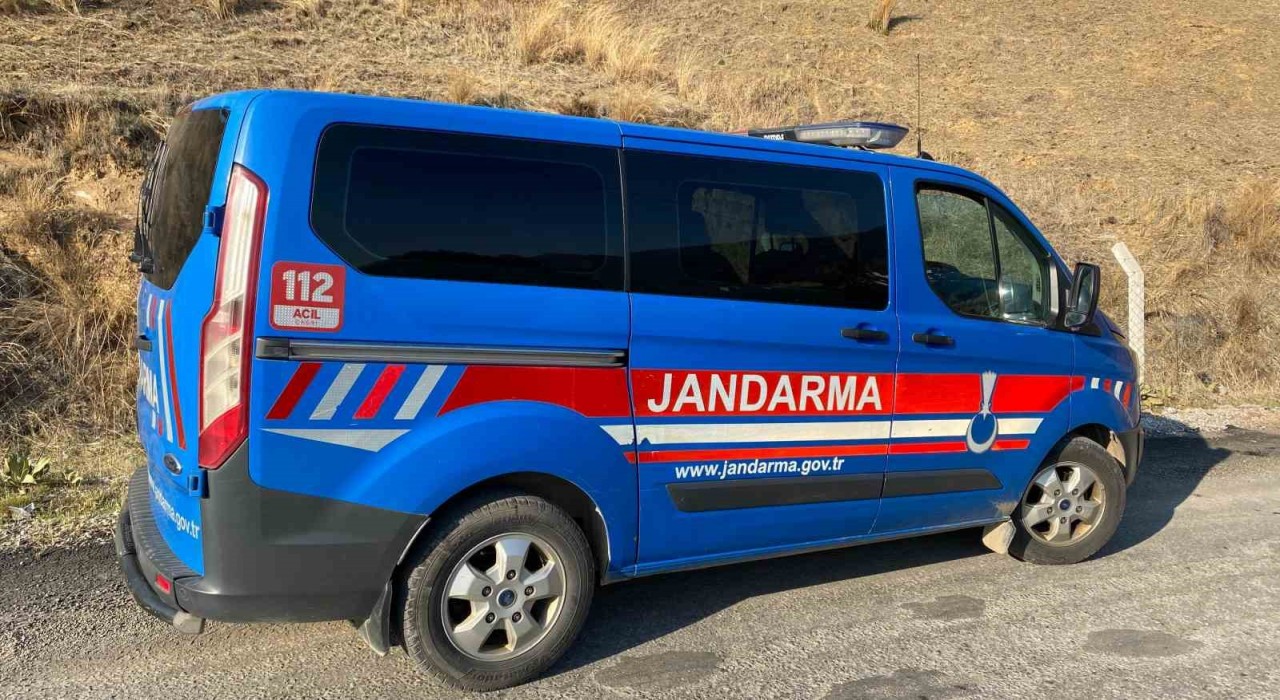 Kuyucakta köpek dövüşüne jandarma baskını: 3ü organizatör, 52 şahıs yakalandı