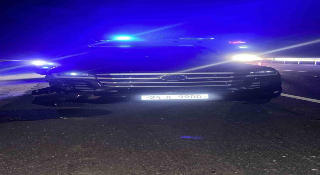 Mardinde otomobilin çarptığı kadın hayatını kaybetti